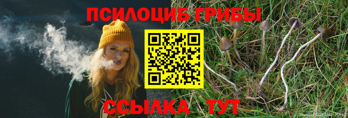 Галлюциногенные грибы Psilocybine cubensis Прокопьевск