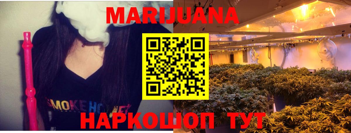Бошки Шишки MAZAR Прокопьевск